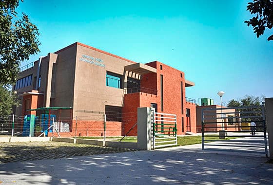 IIT Kanpur campus