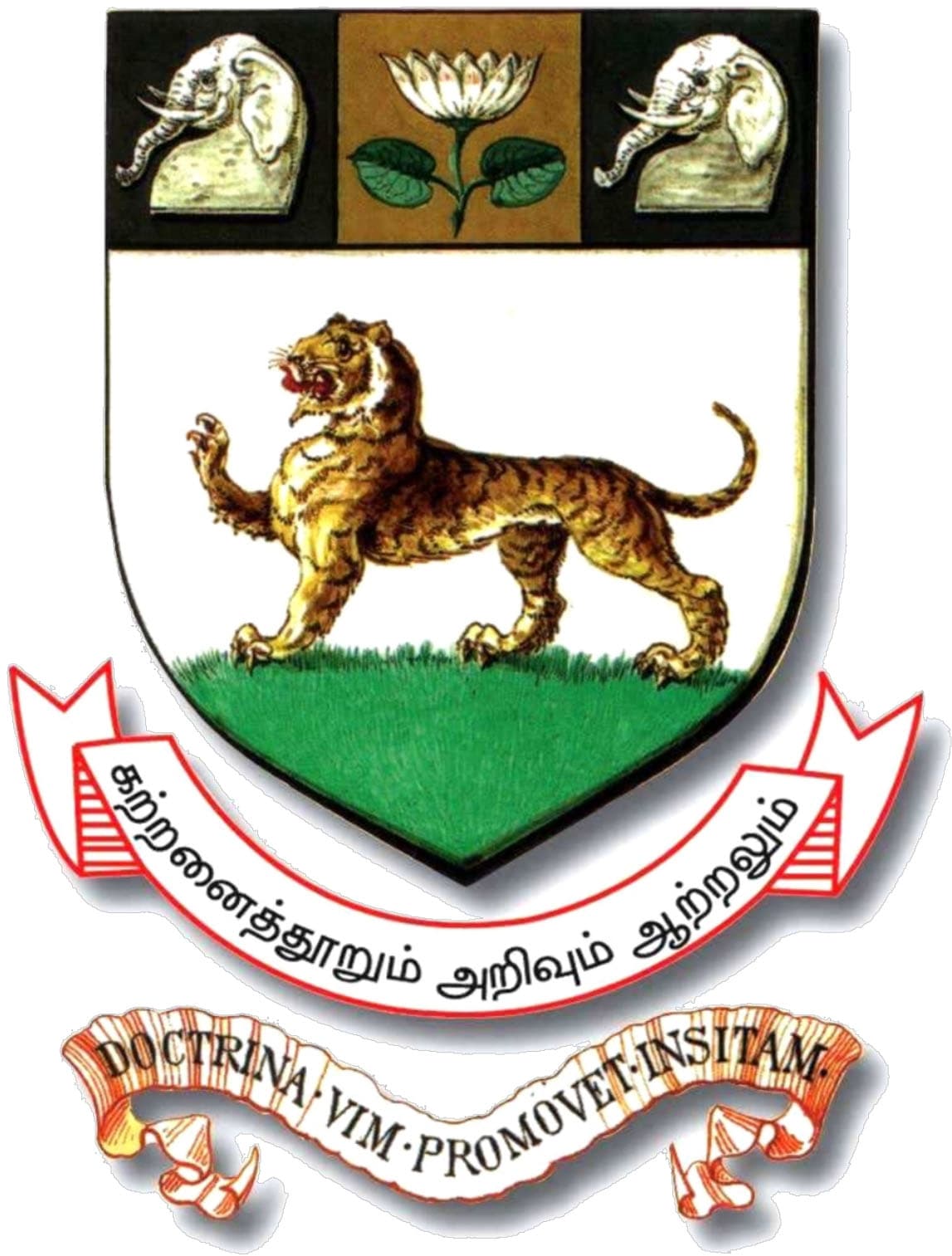 University of Madras logo