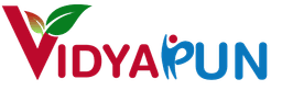 Vidyapun University logo