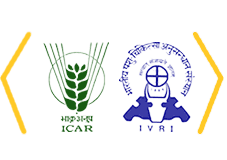 Indian Veterinary Research Institute logo