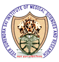 Veer Surendra Sai Institute of Medical Sciences and Research logo